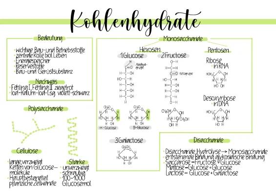 Know Kohlenhydrate  thumbnail