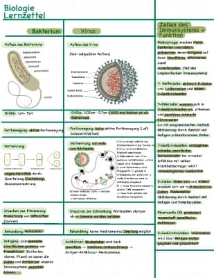 Know  Viren und Bakterien, Immunsystem/Immunabwehr/Zellen des Immunsystems/Immunbiologie  thumbnail
