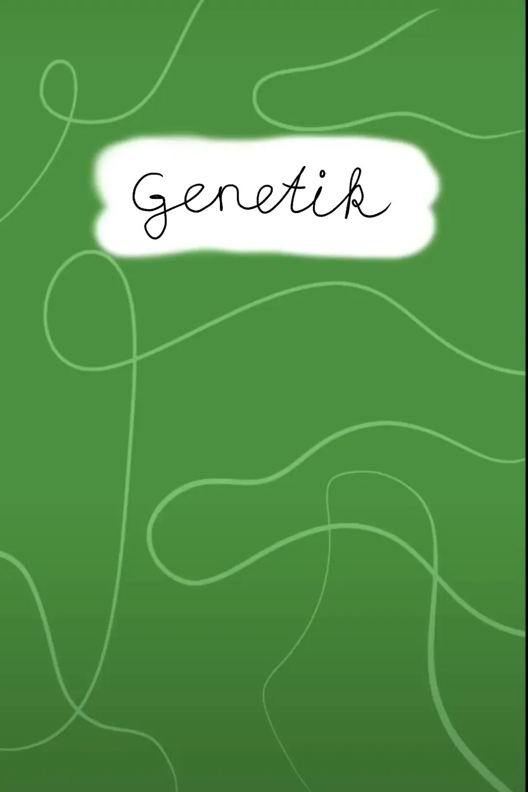 Zellzyklus