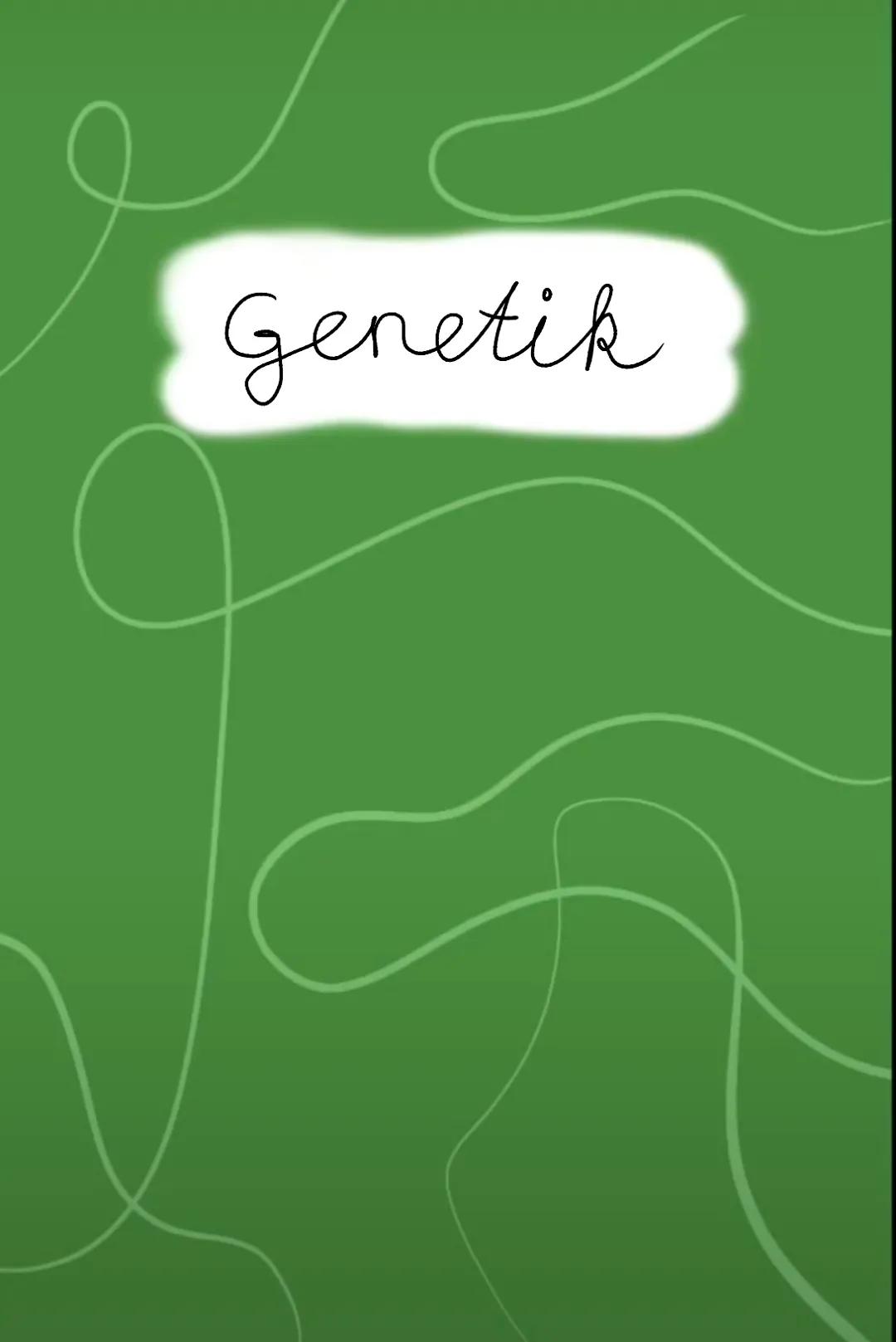 Genetik Phosphate
Aufbau DNA
Zucker
Desoxyribose
Nukleotid
Allgemein:
22 Autosomen = diploid 2n
2 (1Paar) Gonosomen -> XX = Frau &
XY Mann h