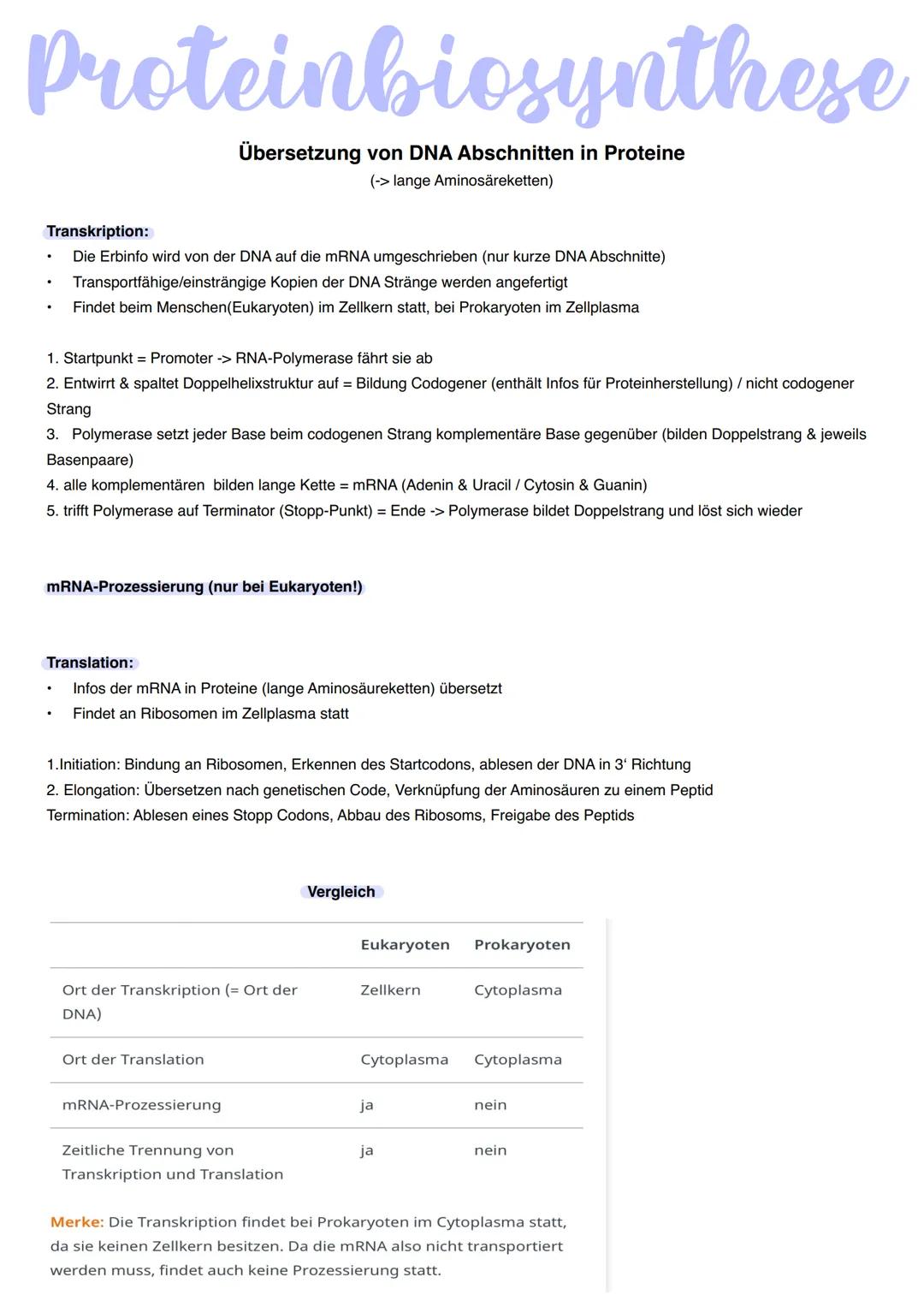 Genetik Phosphate
Aufbau DNA
Zucker
Desoxyribose
Nukleotid
Allgemein:
22 Autosomen = diploid 2n
2 (1Paar) Gonosomen -> XX = Frau &
XY Mann h