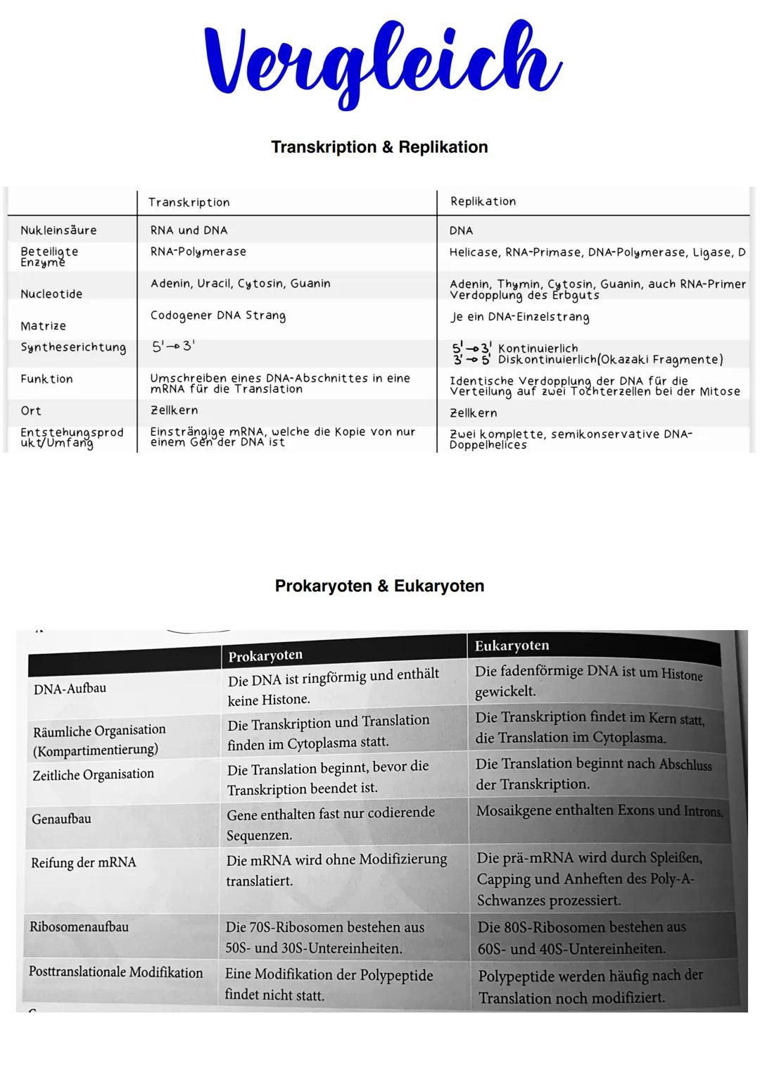 Genetik Phosphate
Aufbau DNA
Zucker
Desoxyribose
Nukleotid
Allgemein:
22 Autosomen = diploid 2n
2 (1Paar) Gonosomen -> XX = Frau &
XY Mann h