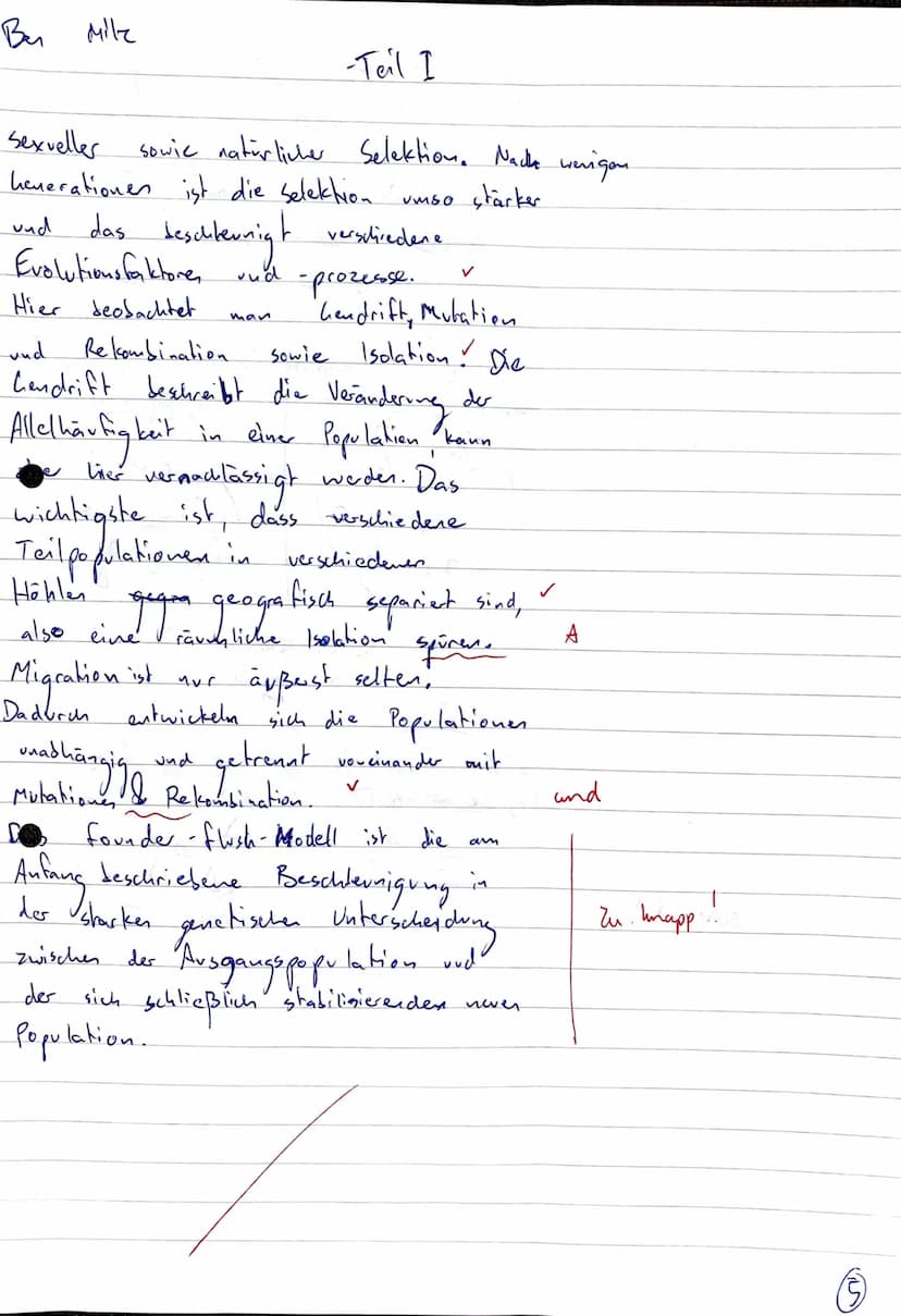 Ben
Milz
Autg 1
Größe
Lebensraum
Bio - LK -Teil I
| Oliarus poly phemus
so
З тілі
Höhlen (dunkel feucht)
Körperform
Кора
Flügel
Kispector Er