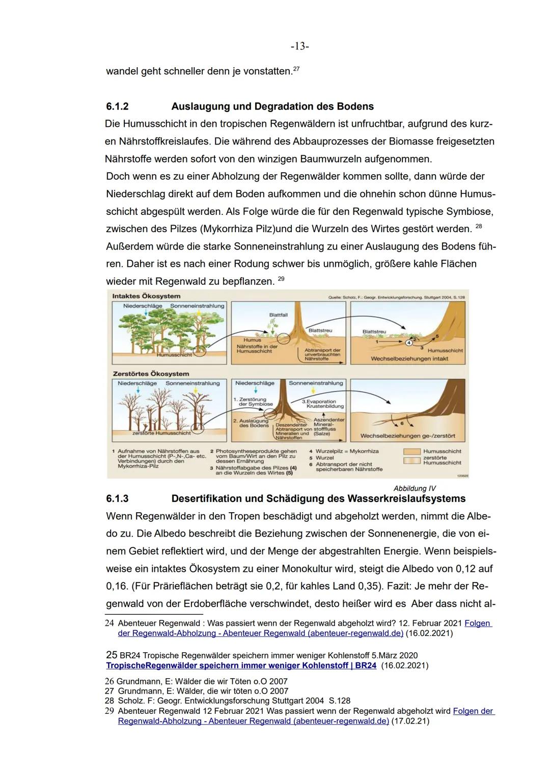 XII
im Grundkurs Erdkunde
Facharbeit
Schuljahr 2020/2021
Thema der Facharbeit
Ist der Regenwald noch zu retten?
- Die Auswirkungen der massi