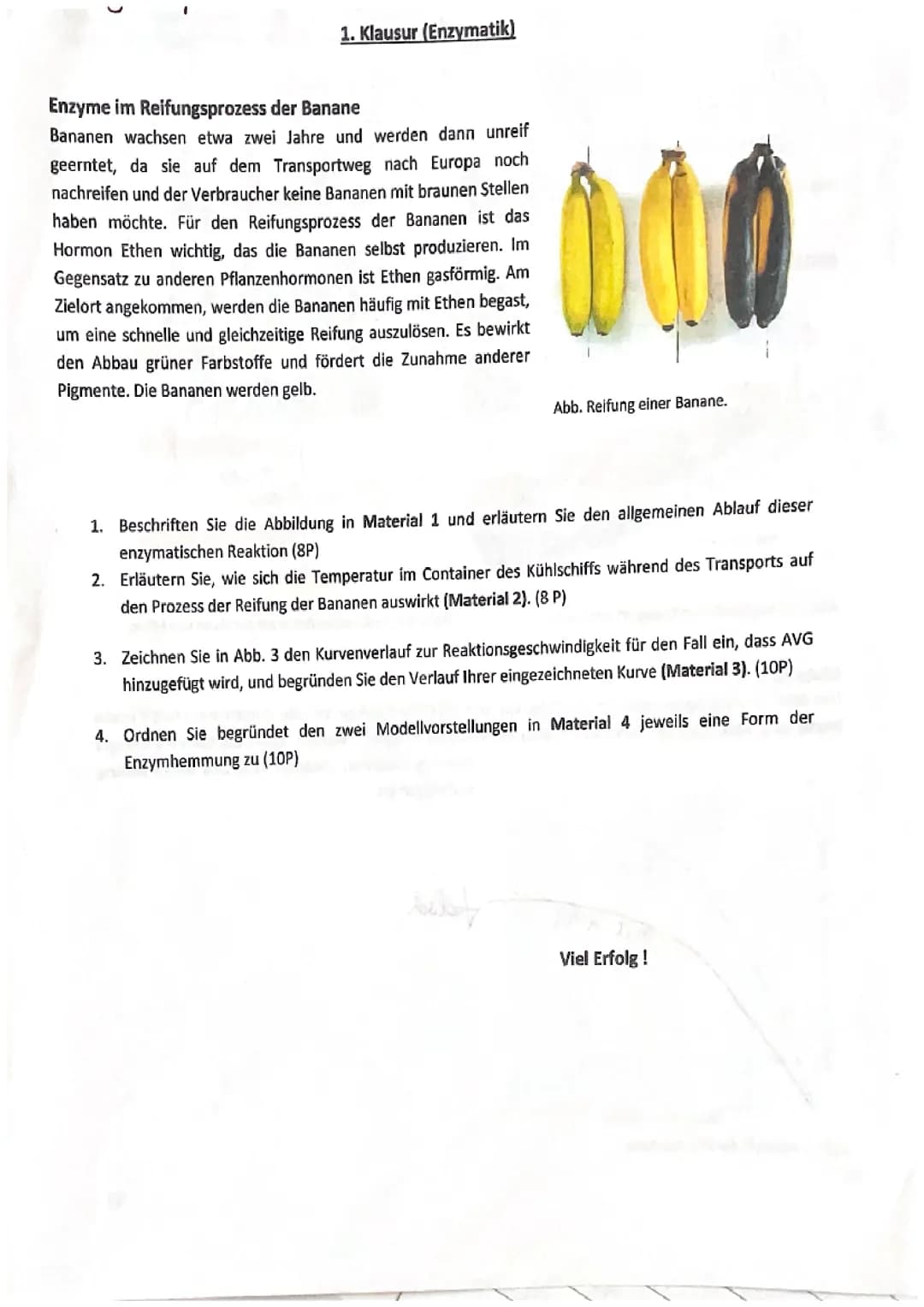 Enzymatik Bio 