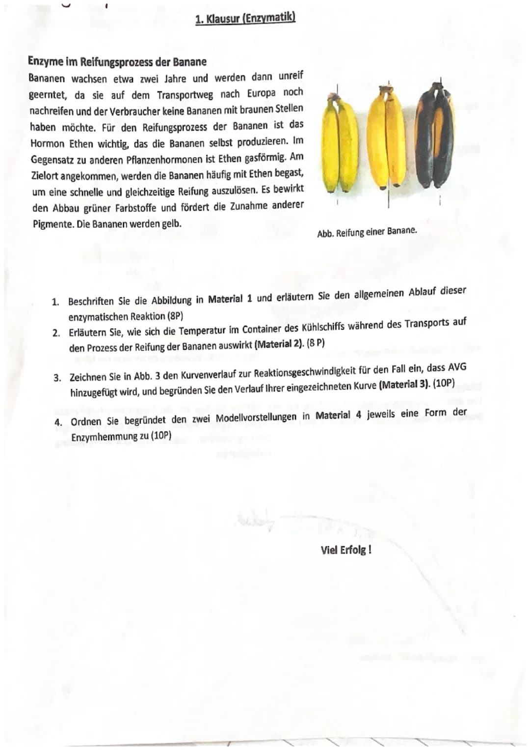 (
1. Klausur (Enzymatik)
Enzyme im Reifungsprozess der Banane
Bananen wachsen etwa zwei Jahre und werden dann unreif
geerntet, da sie auf de