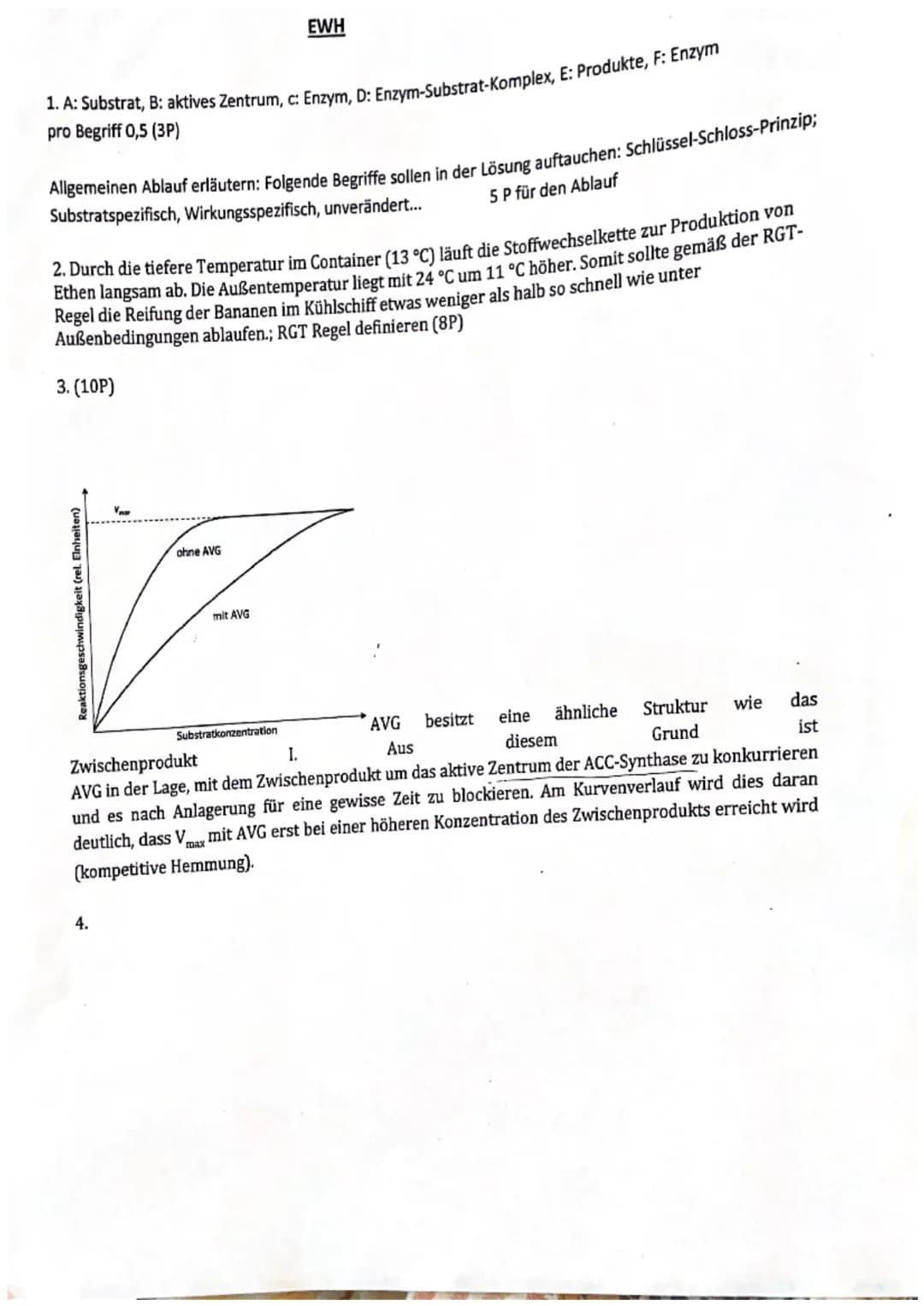 (
1. Klausur (Enzymatik)
Enzyme im Reifungsprozess der Banane
Bananen wachsen etwa zwei Jahre und werden dann unreif
geerntet, da sie auf de
