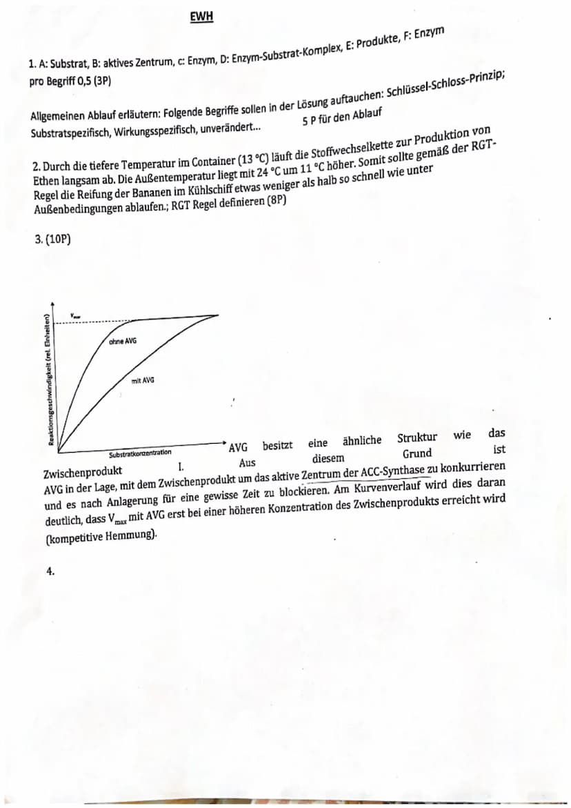 (
1. Klausur (Enzymatik)
Enzyme im Reifungsprozess der Banane
Bananen wachsen etwa zwei Jahre und werden dann unreif
geerntet, da sie auf de