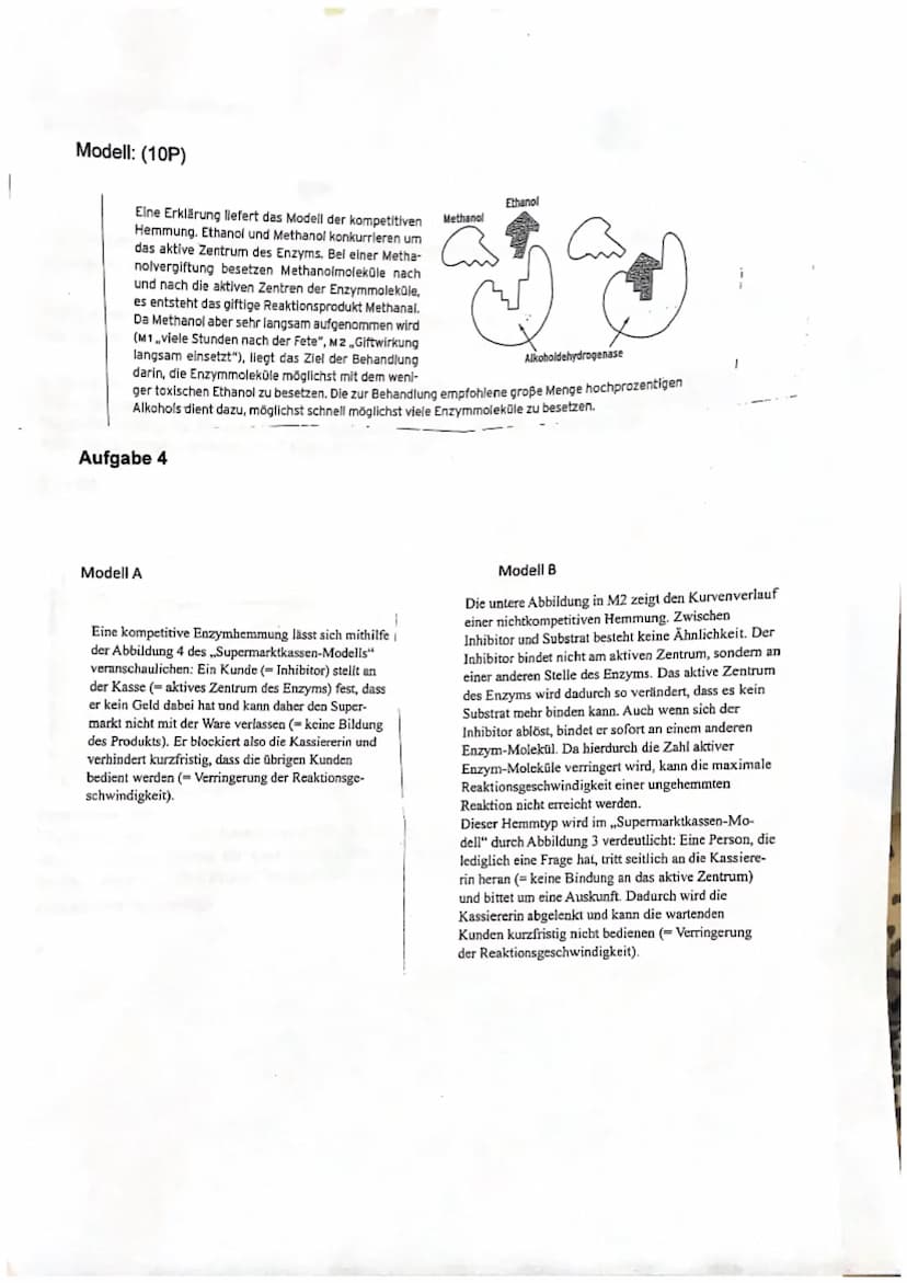 (
1. Klausur (Enzymatik)
Enzyme im Reifungsprozess der Banane
Bananen wachsen etwa zwei Jahre und werden dann unreif
geerntet, da sie auf de