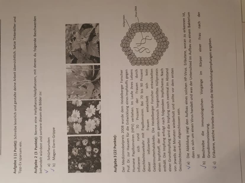 Klausur 1 -K2
Aufgabe 2
a) Ringelblume - Bild 1
b)
Echte kamille - Bild 2
<
く
Aufgabe 3
a) Es handelt sich um einen Virus, da die DNA frei
i