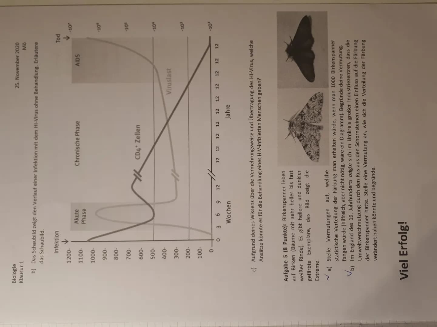 Klausur 1 -K2
Aufgabe 2
a) Ringelblume - Bild 1
b)
Echte kamille - Bild 2
<
く
Aufgabe 3
a) Es handelt sich um einen Virus, da die DNA frei
i