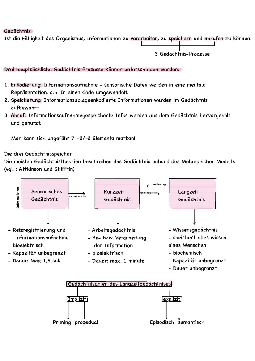 Gedächtnis - Psychologie 