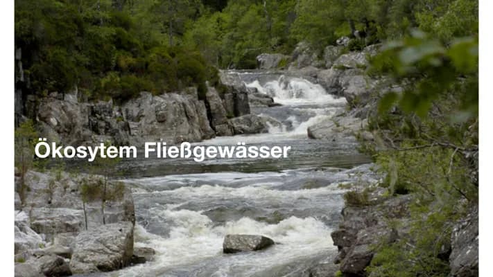 Know Ökosystem Fließgewässer thumbnail