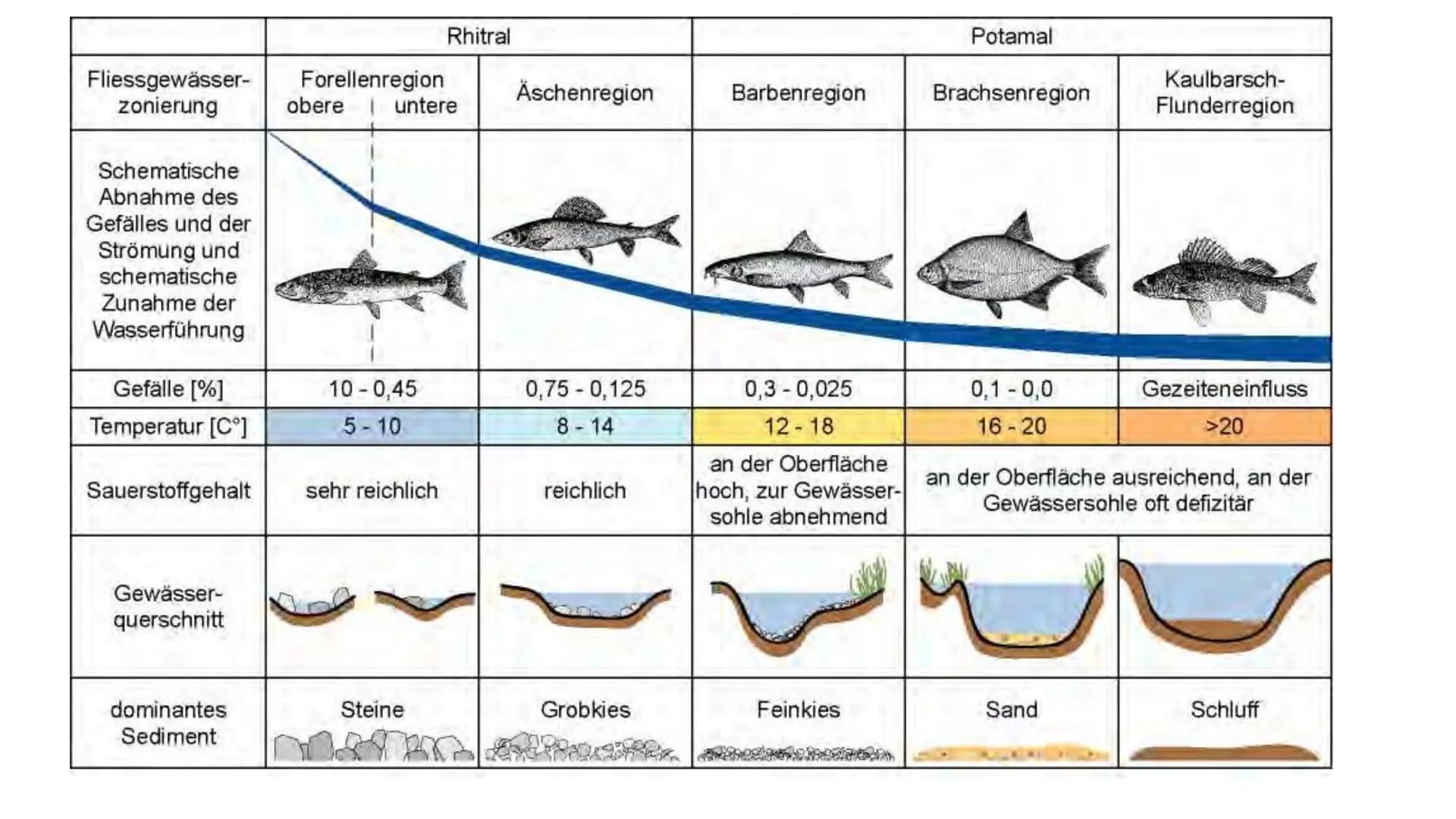 Ökosytem Fließgewässer Inhaltsverzeichnis
●
●
●
●
●
Was sind Fließgewässer?
Abiotische & biotische Faktoren
Vergleich der Fließgewässerregio