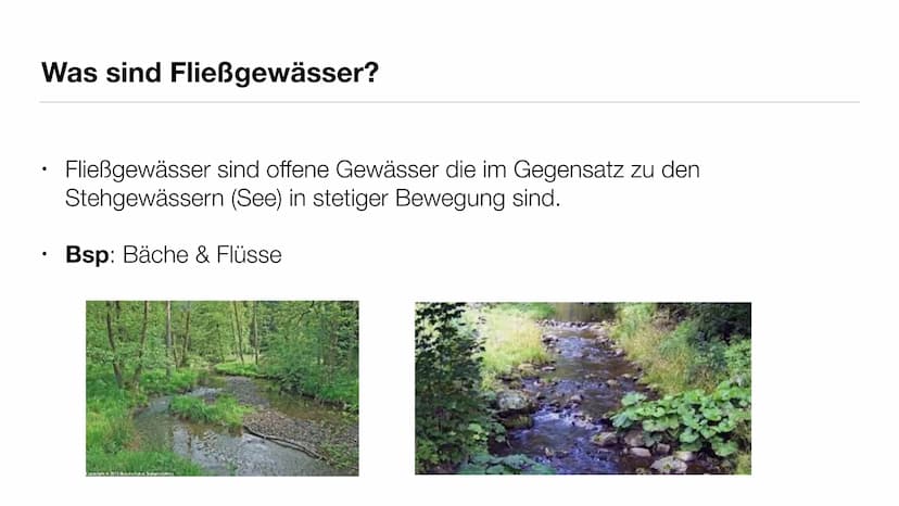 Ökosytem Fließgewässer Inhaltsverzeichnis
●
●
●
●
●
Was sind Fließgewässer?
Abiotische & biotische Faktoren
Vergleich der Fließgewässerregio
