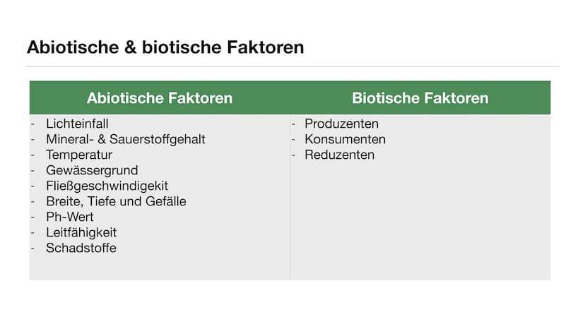 Ökosytem Fließgewässer Inhaltsverzeichnis
●
●
●
●
●
Was sind Fließgewässer?
Abiotische & biotische Faktoren
Vergleich der Fließgewässerregio