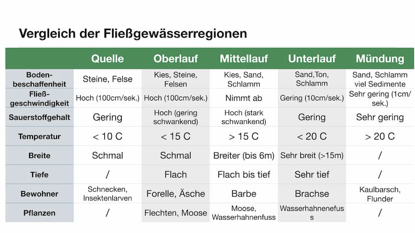 Ökosytem Fließgewässer Inhaltsverzeichnis
●
●
●
●
●
Was sind Fließgewässer?
Abiotische & biotische Faktoren
Vergleich der Fließgewässerregio