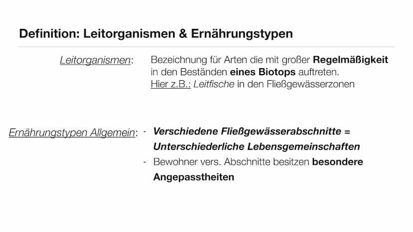 Ökosytem Fließgewässer Inhaltsverzeichnis
●
●
●
●
●
Was sind Fließgewässer?
Abiotische & biotische Faktoren
Vergleich der Fließgewässerregio