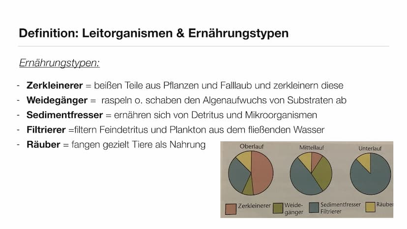 Ökosytem Fließgewässer Inhaltsverzeichnis
●
●
●
●
●
Was sind Fließgewässer?
Abiotische & biotische Faktoren
Vergleich der Fließgewässerregio