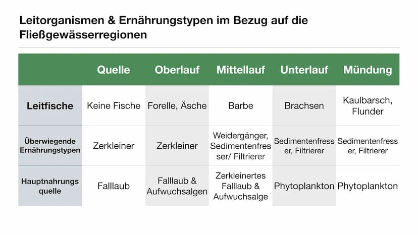 Ökosytem Fließgewässer Inhaltsverzeichnis
●
●
●
●
●
Was sind Fließgewässer?
Abiotische & biotische Faktoren
Vergleich der Fließgewässerregio