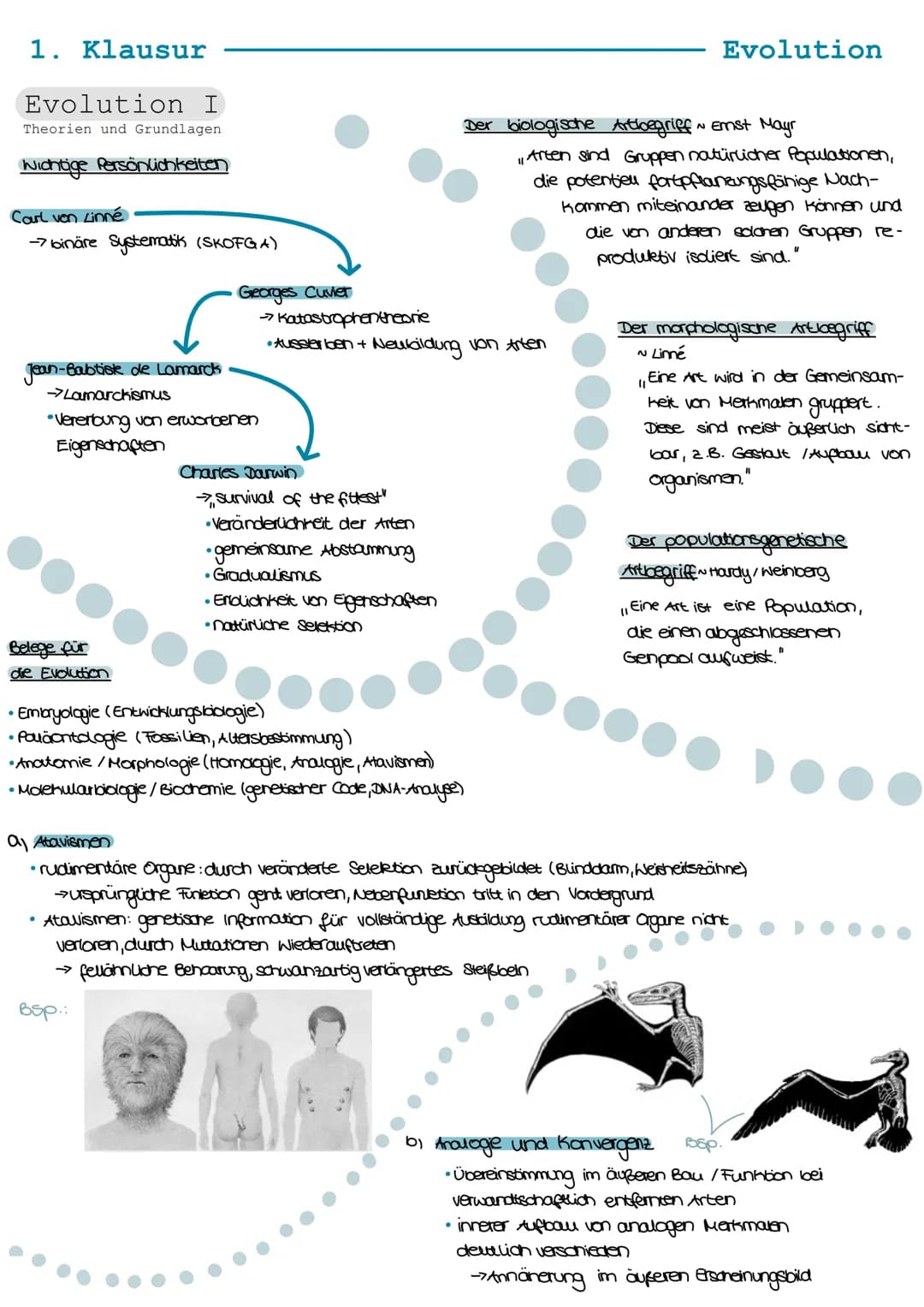 1. Klausur
Evolution I
Theorien und Grundlagen
Wichtige Persönlichkeiten
Carl von Linné
-> binäre Systematik (SKOFGA)
●
Belege für
die Evolu