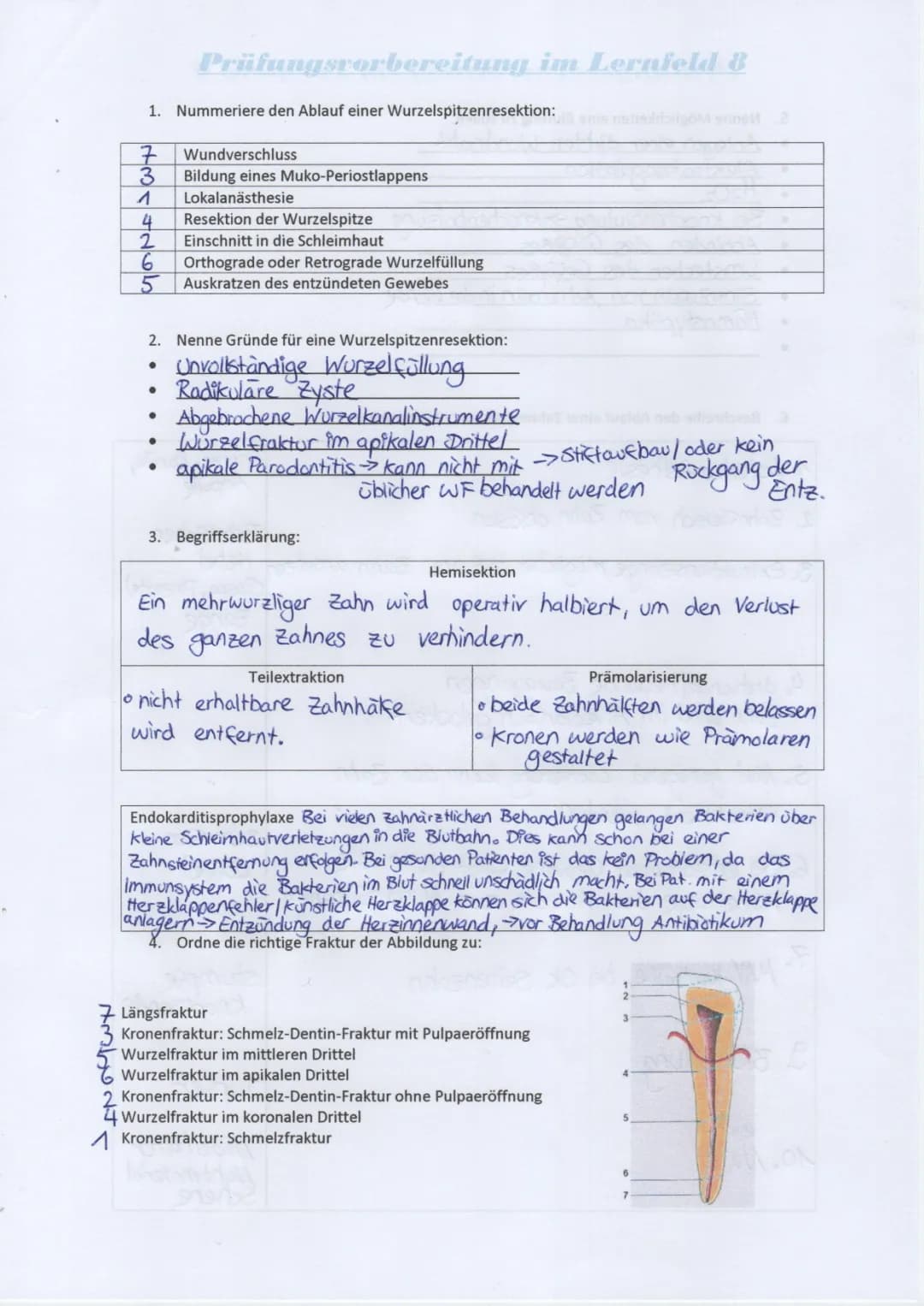 Lernfeld 8