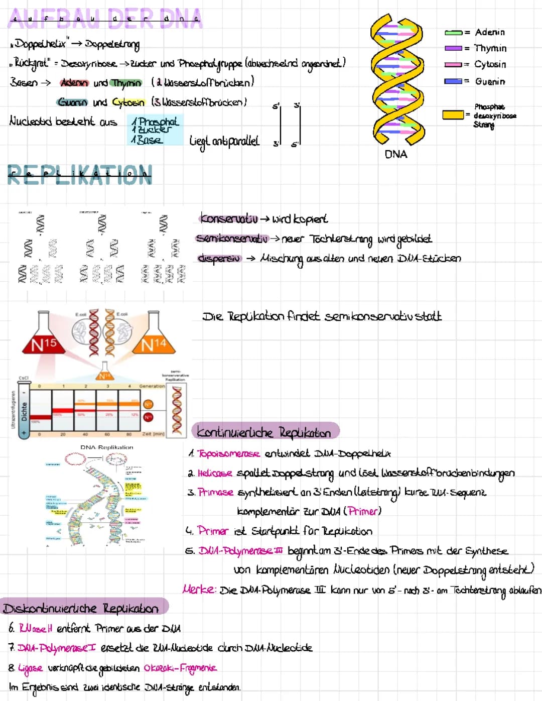 DNA