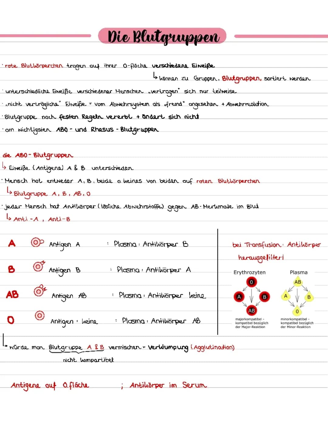 Blutgruppen