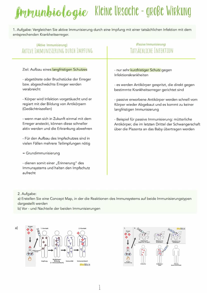 Immunbiologie Kleine Ursache - große Wirkung
1. Aufgabe: Vergleichen Sie aktive Immunisierung durch eine Impfung mit einer tatsächlichen Inf