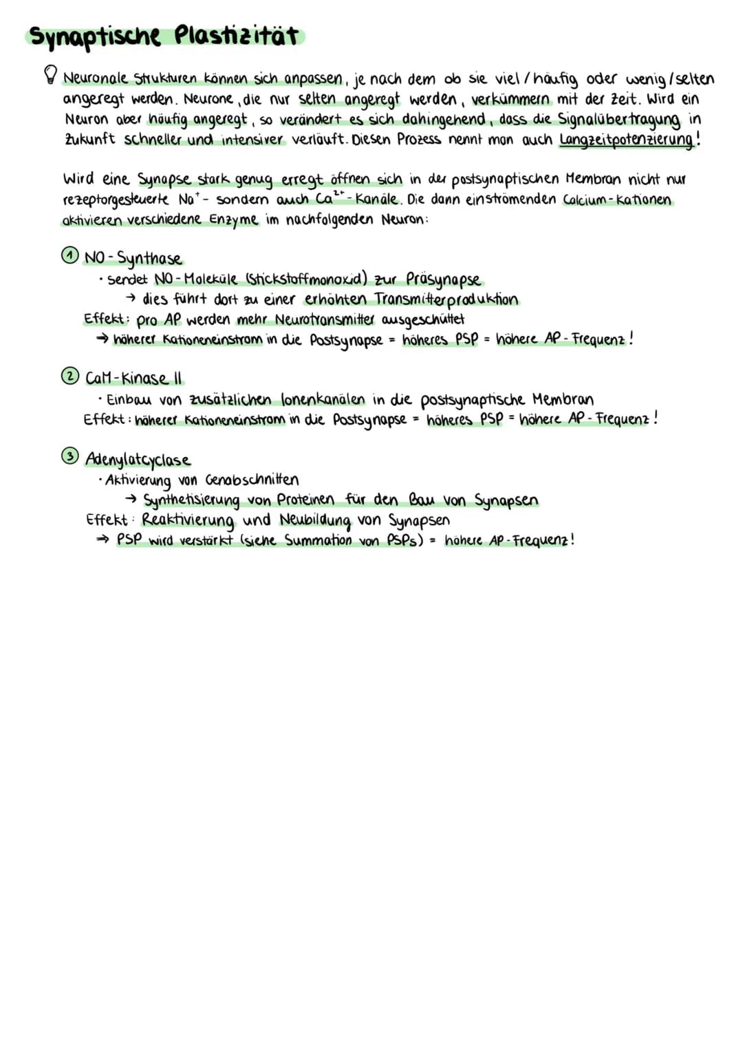 Aufbau einer Nervenzelle
Zellkörper (Somal
Dentriten
Axonhügel
Zellkern
Axon
Zellkörper (Soma)
• enthält Zellkern und andere Zellorganellen
