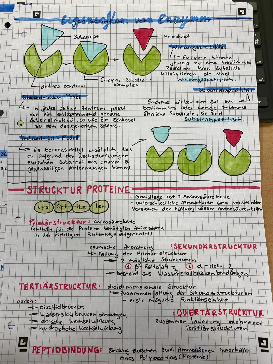 C
Reaktionsgeschwindigkeit
D
120
400
80
2.60
40
20
0
L
Reaktions:
EINFLUSSE AUF DIE ENZYMWIRKUNG
(6
10
20
N
(3)
30
40
(2)
(2
50
michaceis me