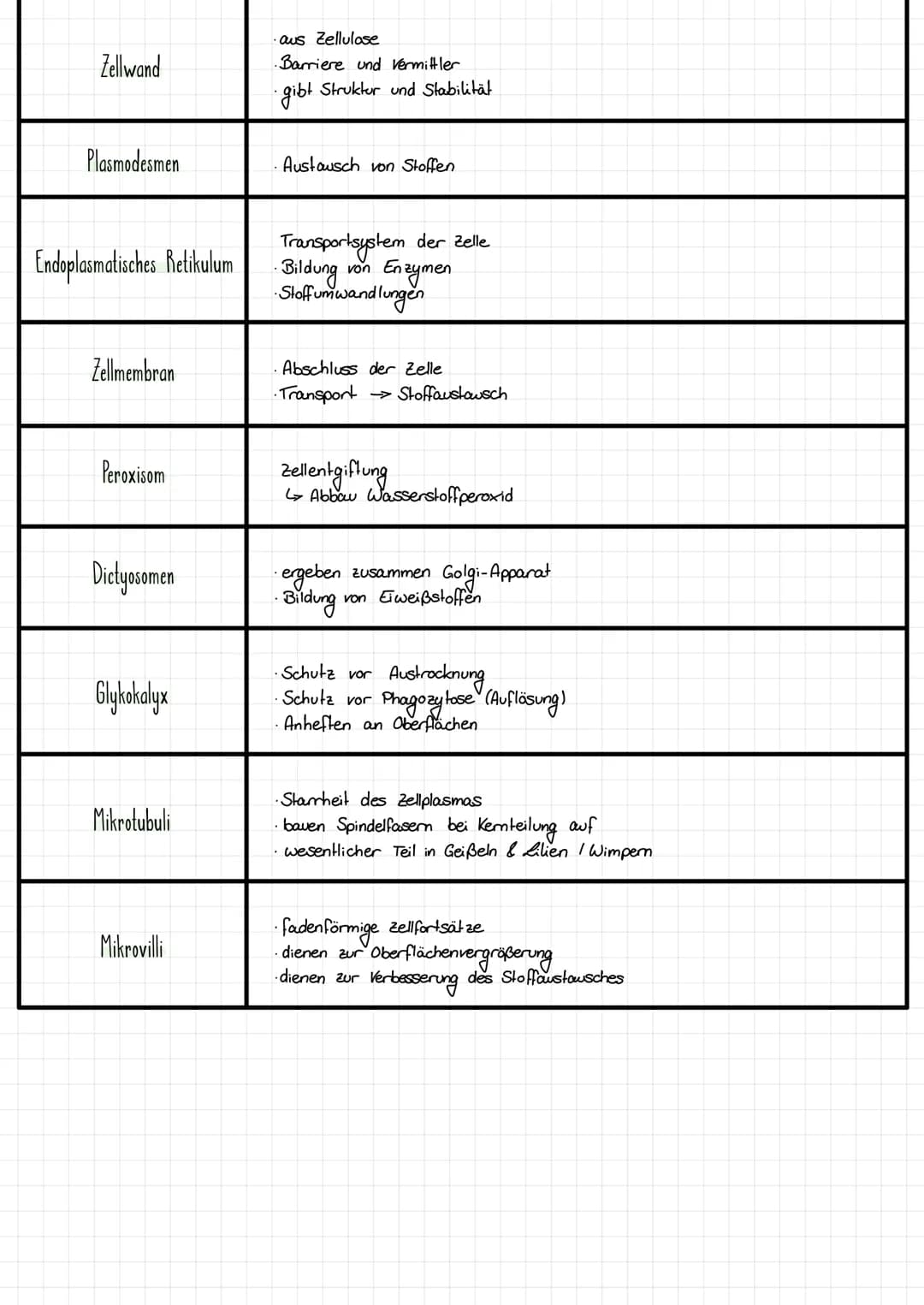 Von der Zelle zum Organismus 2
-Funktionszusammenhange in verschiedenen Systardbaren am Beispiel der Pflanze
DIE PFLANZENZELLE
ER
Ribasomen
