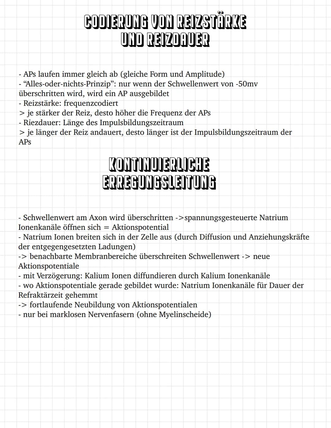 E
E O
③ ooooooo
oooooooooooo
oooooo
ooo
ооооооооооооооооо
0
ooooo
00
INHALTSVERZEICHNIS
Bau des Neurons
Das Ruhepotential
Das Aktionspotenti