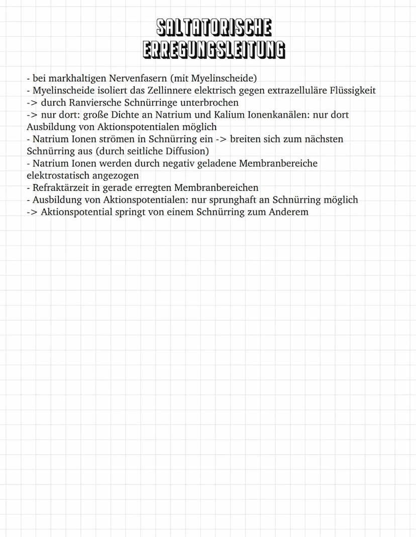 E
E O
③ ooooooo
oooooooooooo
oooooo
ooo
ооооооооооооооооо
0
ooooo
00
INHALTSVERZEICHNIS
Bau des Neurons
Das Ruhepotential
Das Aktionspotenti