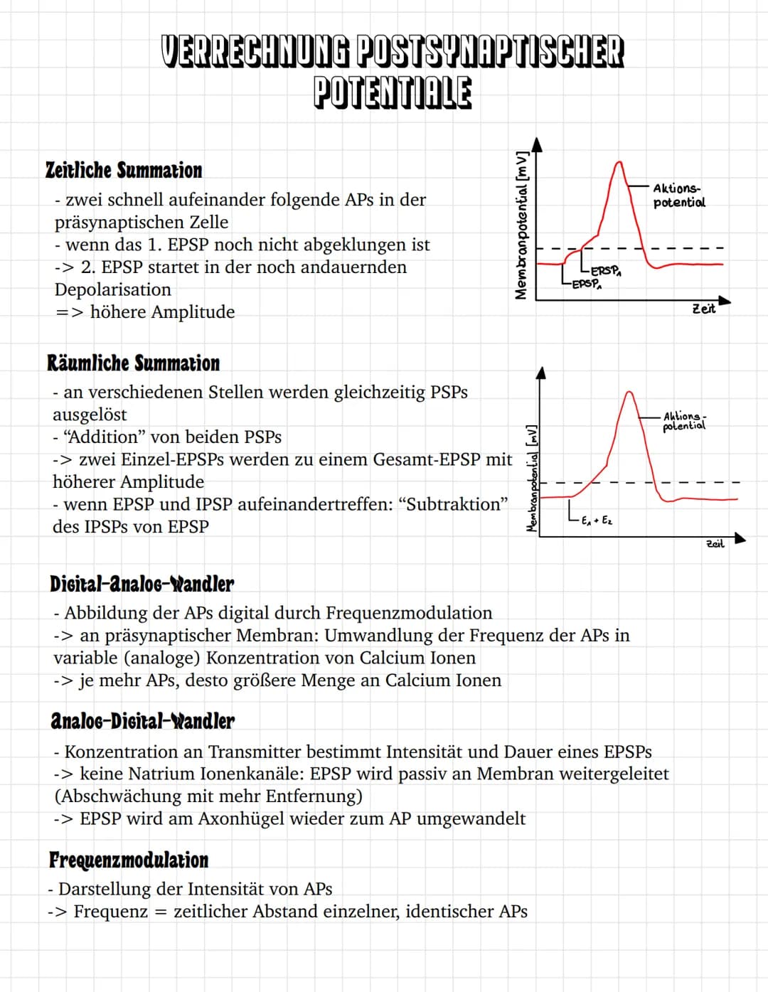 E
E O
③ ooooooo
oooooooooooo
oooooo
ooo
ооооооооооооооооо
0
ooooo
00
INHALTSVERZEICHNIS
Bau des Neurons
Das Ruhepotential
Das Aktionspotenti