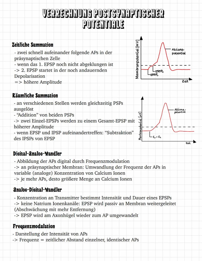 E
E O
③ ooooooo
oooooooooooo
oooooo
ooo
ооооооооооооооооо
0
ooooo
00
INHALTSVERZEICHNIS
Bau des Neurons
Das Ruhepotential
Das Aktionspotenti