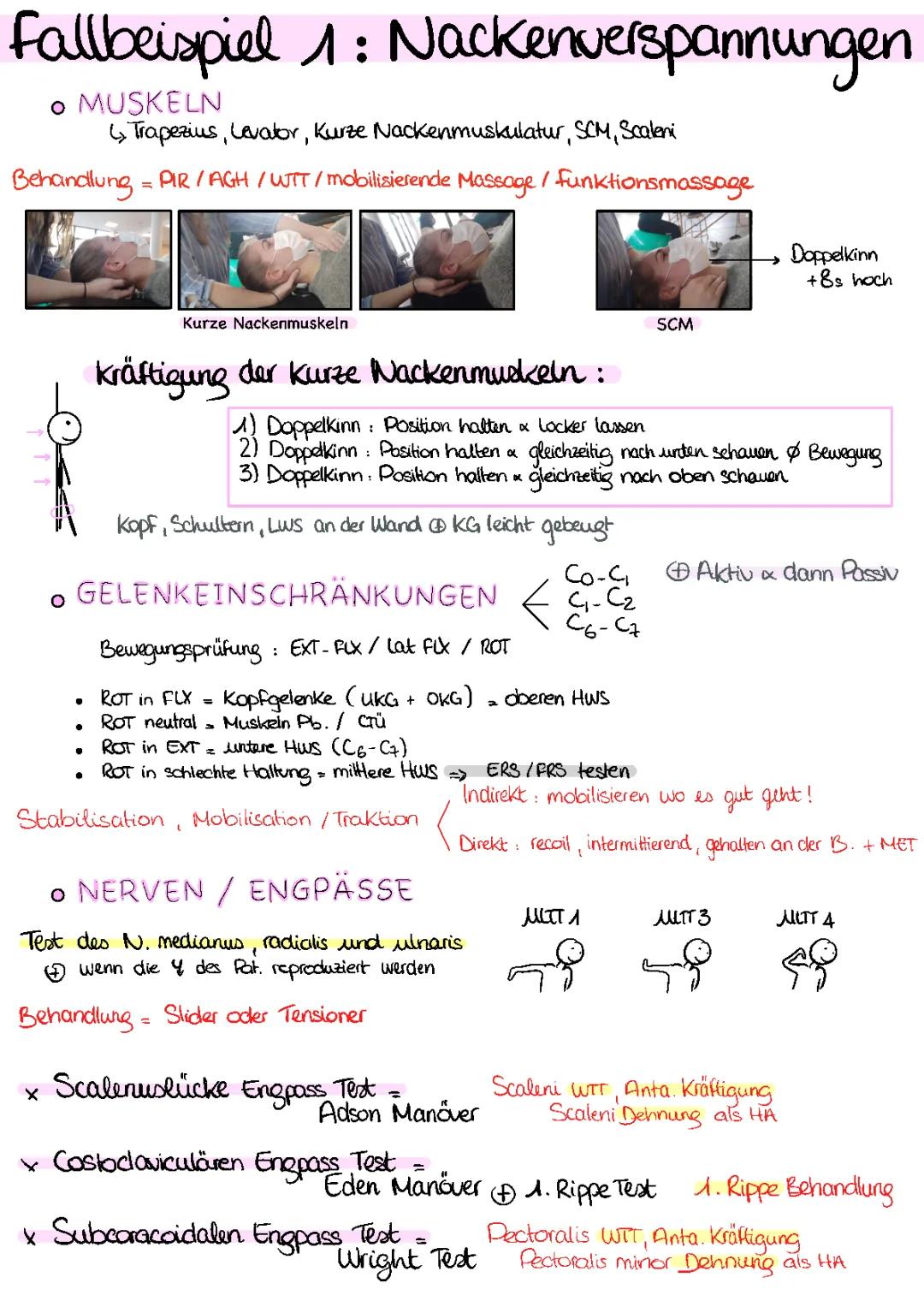 Halswirbelsäule - Nackenverspannungen 
