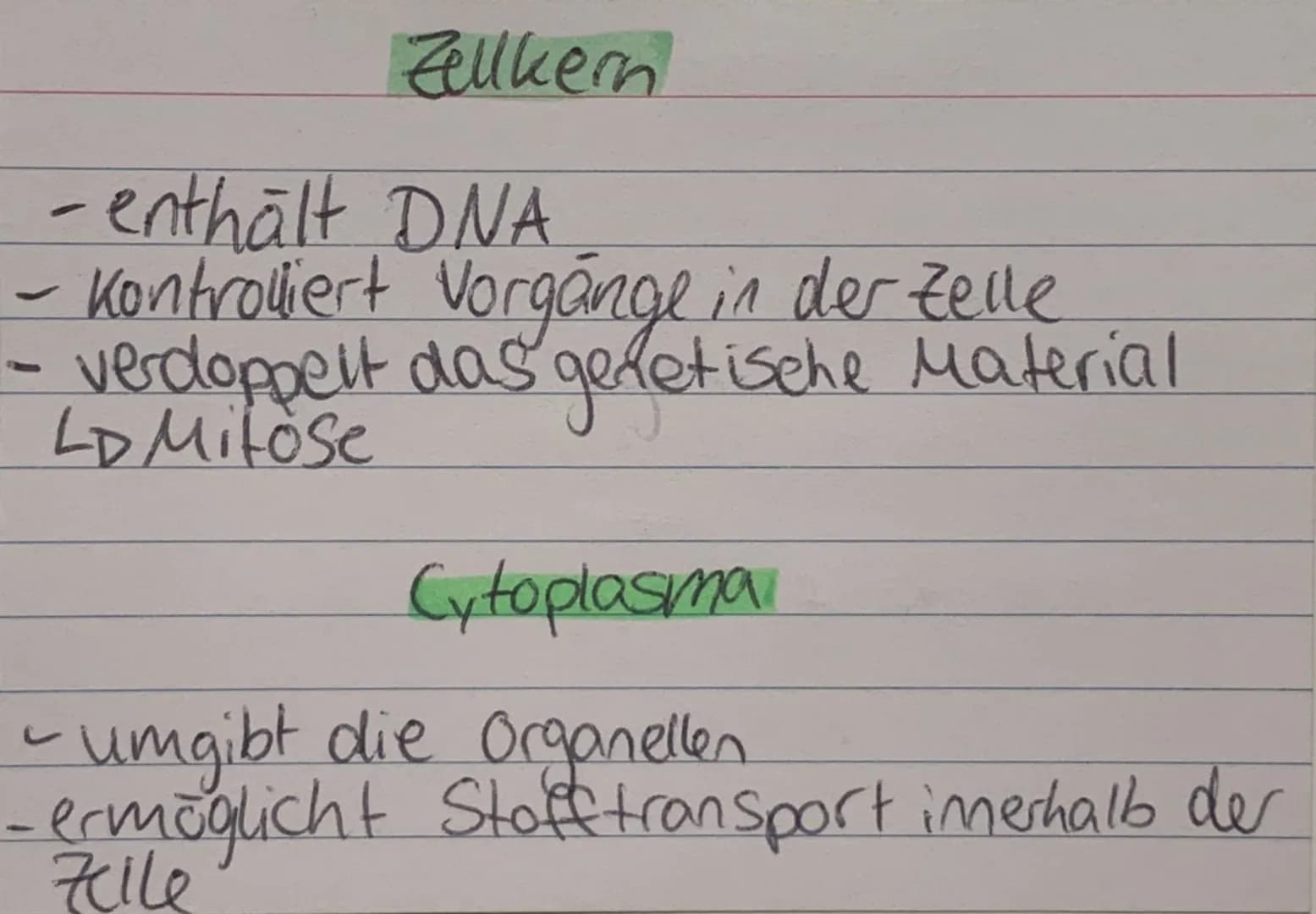 <h2 id="zellorganellenchloroplasten">Zellorganellen: Chloroplasten</h2>
<p>Die Chloroplasten kommen ausschließlich in pflanzlichen Zellen vo