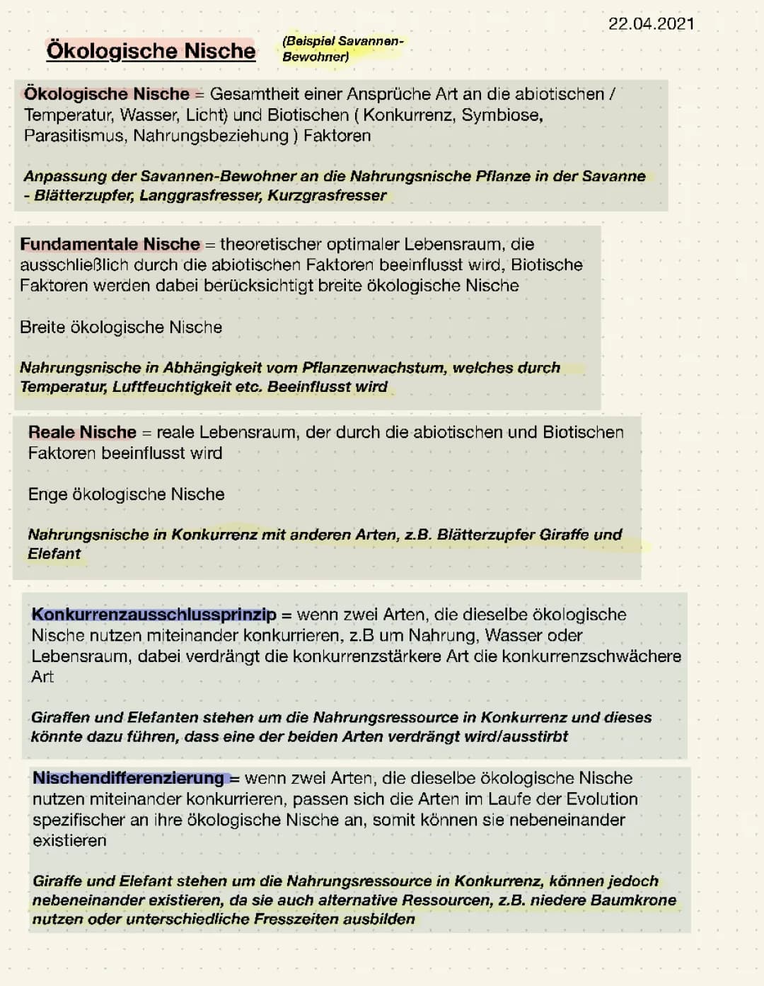 Die Ökologische Nische: Einfache Beispiele und Erklärungen