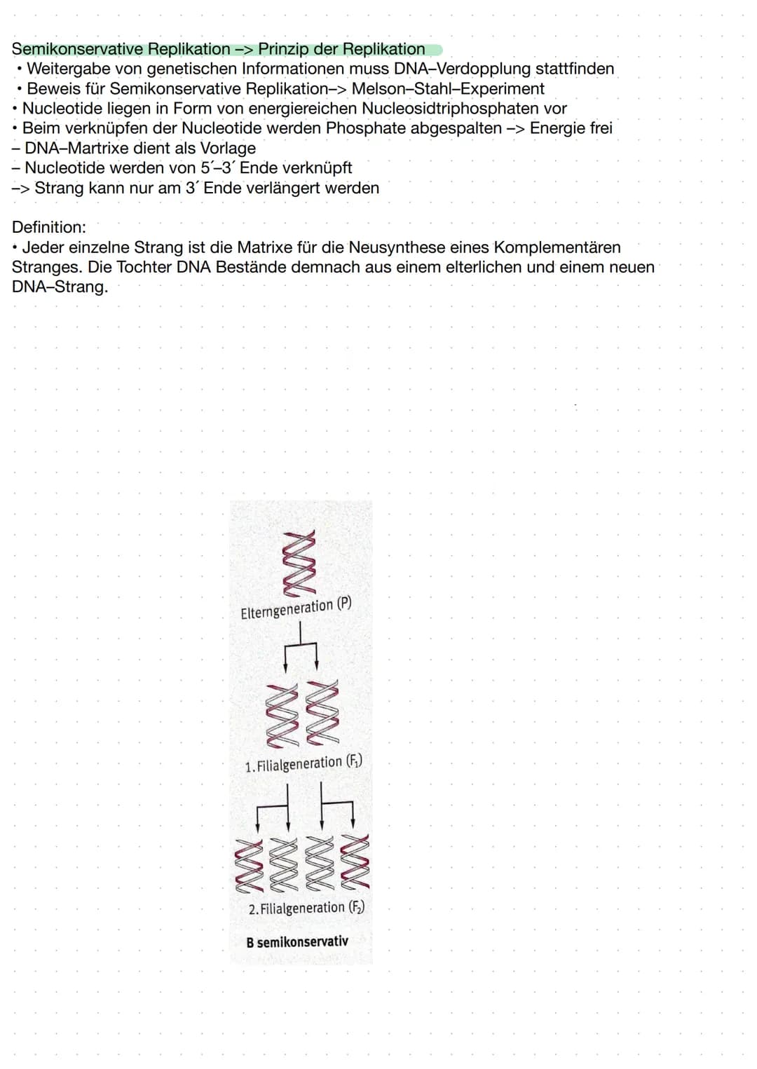 DNA (Desoxyribose)
-> Erbinformation unseres Körpers.
• befindet sich in unserem Zellkern
-> Proteine die für Nerven und Muskelzellen benöti