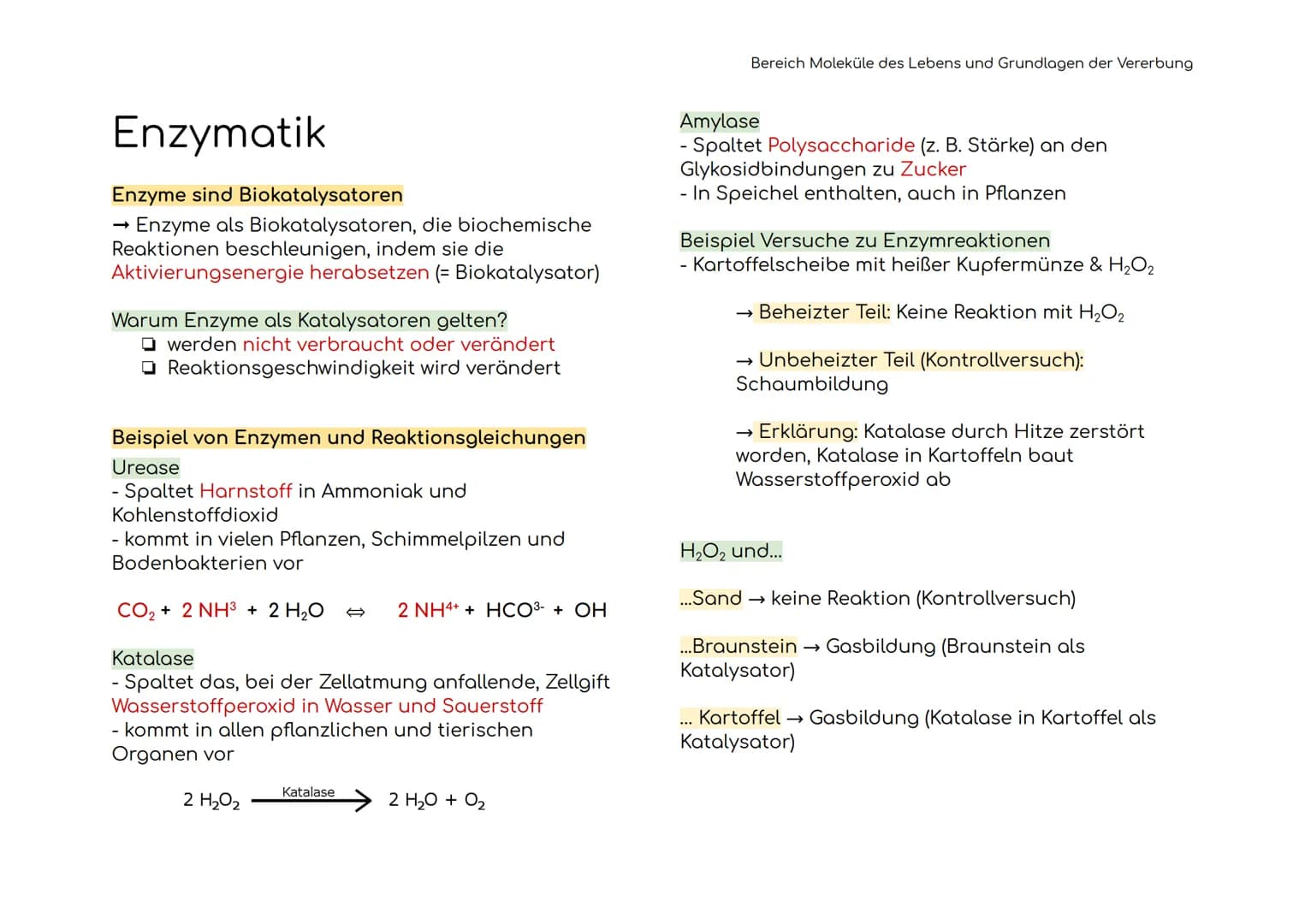 Enzymatik
Enzyme sind Biokatalysatoren
Enzyme als Biokatalysatoren, die biochemische
Reaktionen beschleunigen, indem sie die
Aktivierungsene