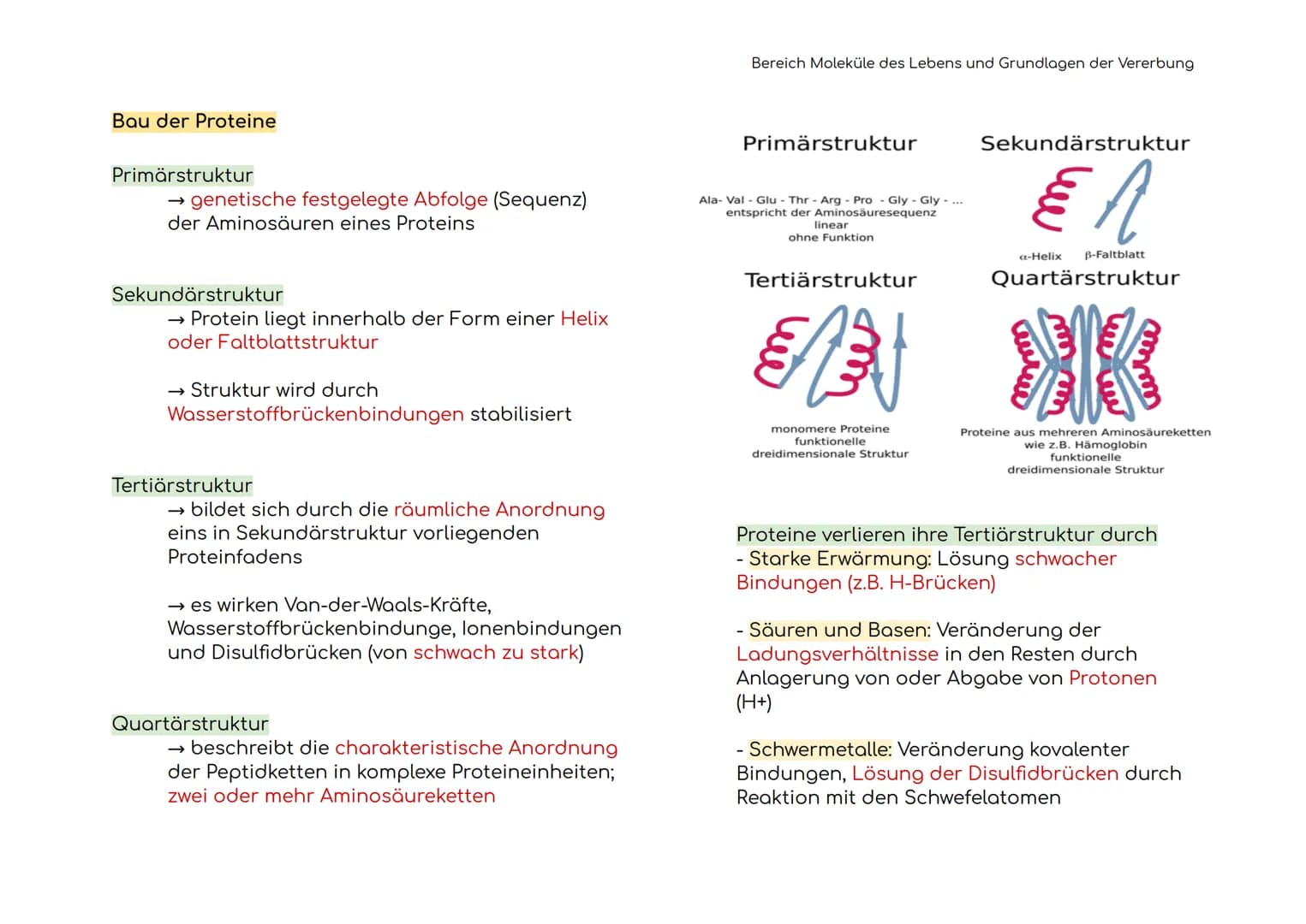 Enzymatik
Enzyme sind Biokatalysatoren
Enzyme als Biokatalysatoren, die biochemische
Reaktionen beschleunigen, indem sie die
Aktivierungsene