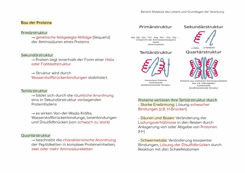 Enzymatik
Enzyme sind Biokatalysatoren
Enzyme als Biokatalysatoren, die biochemische
Reaktionen beschleunigen, indem sie die
Aktivierungsene