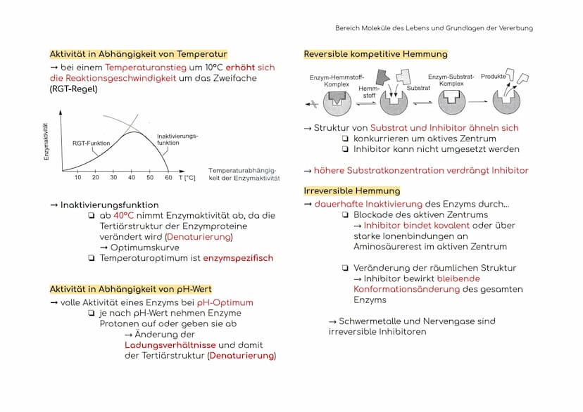 Enzymatik
Enzyme sind Biokatalysatoren
Enzyme als Biokatalysatoren, die biochemische
Reaktionen beschleunigen, indem sie die
Aktivierungsene