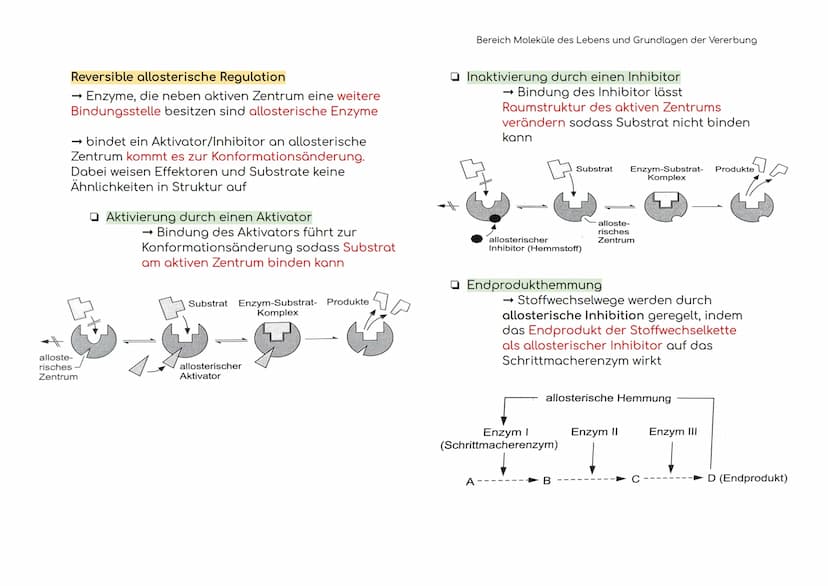 Enzymatik
Enzyme sind Biokatalysatoren
Enzyme als Biokatalysatoren, die biochemische
Reaktionen beschleunigen, indem sie die
Aktivierungsene