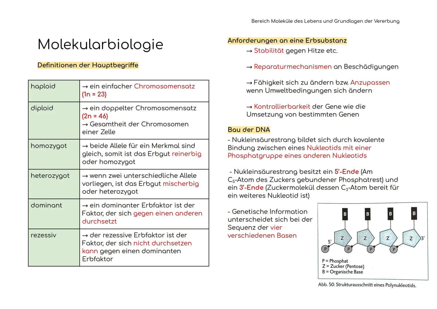 Enzymatik
Enzyme sind Biokatalysatoren
Enzyme als Biokatalysatoren, die biochemische
Reaktionen beschleunigen, indem sie die
Aktivierungsene