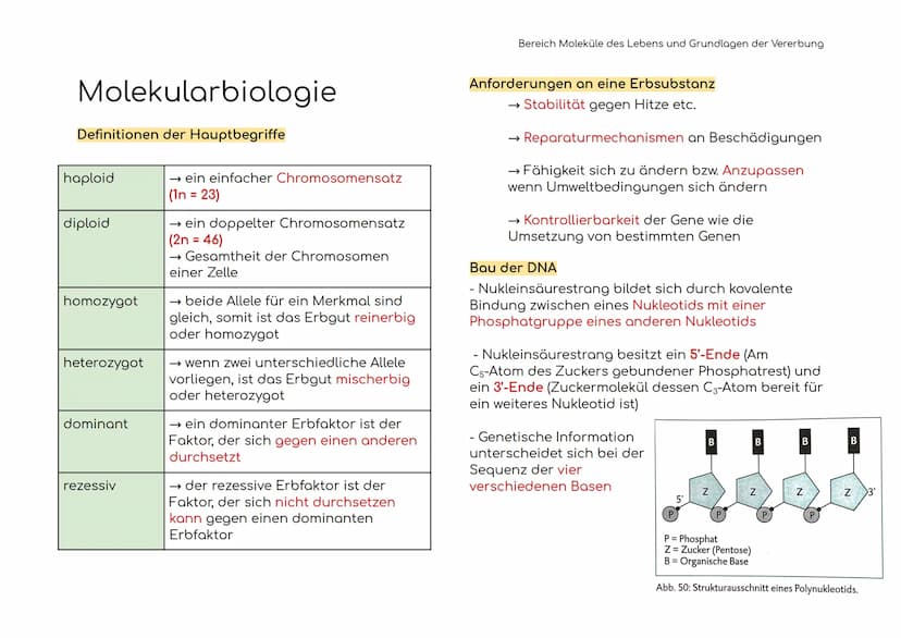 Enzymatik
Enzyme sind Biokatalysatoren
Enzyme als Biokatalysatoren, die biochemische
Reaktionen beschleunigen, indem sie die
Aktivierungsene