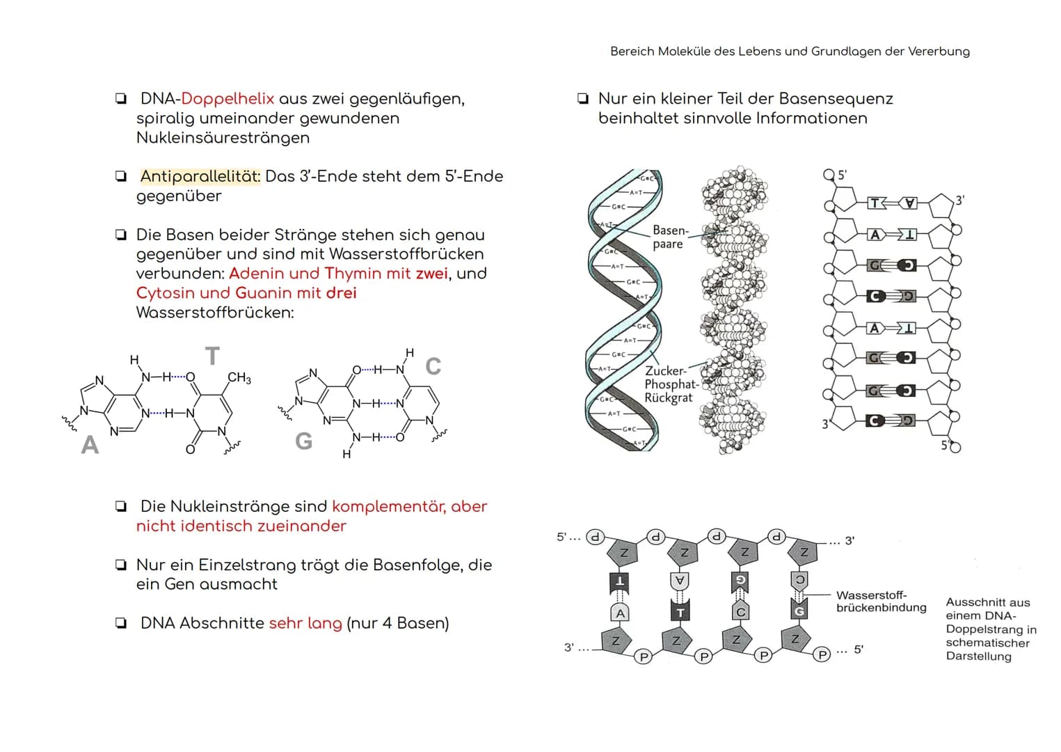 Enzymatik
Enzyme sind Biokatalysatoren
Enzyme als Biokatalysatoren, die biochemische
Reaktionen beschleunigen, indem sie die
Aktivierungsene