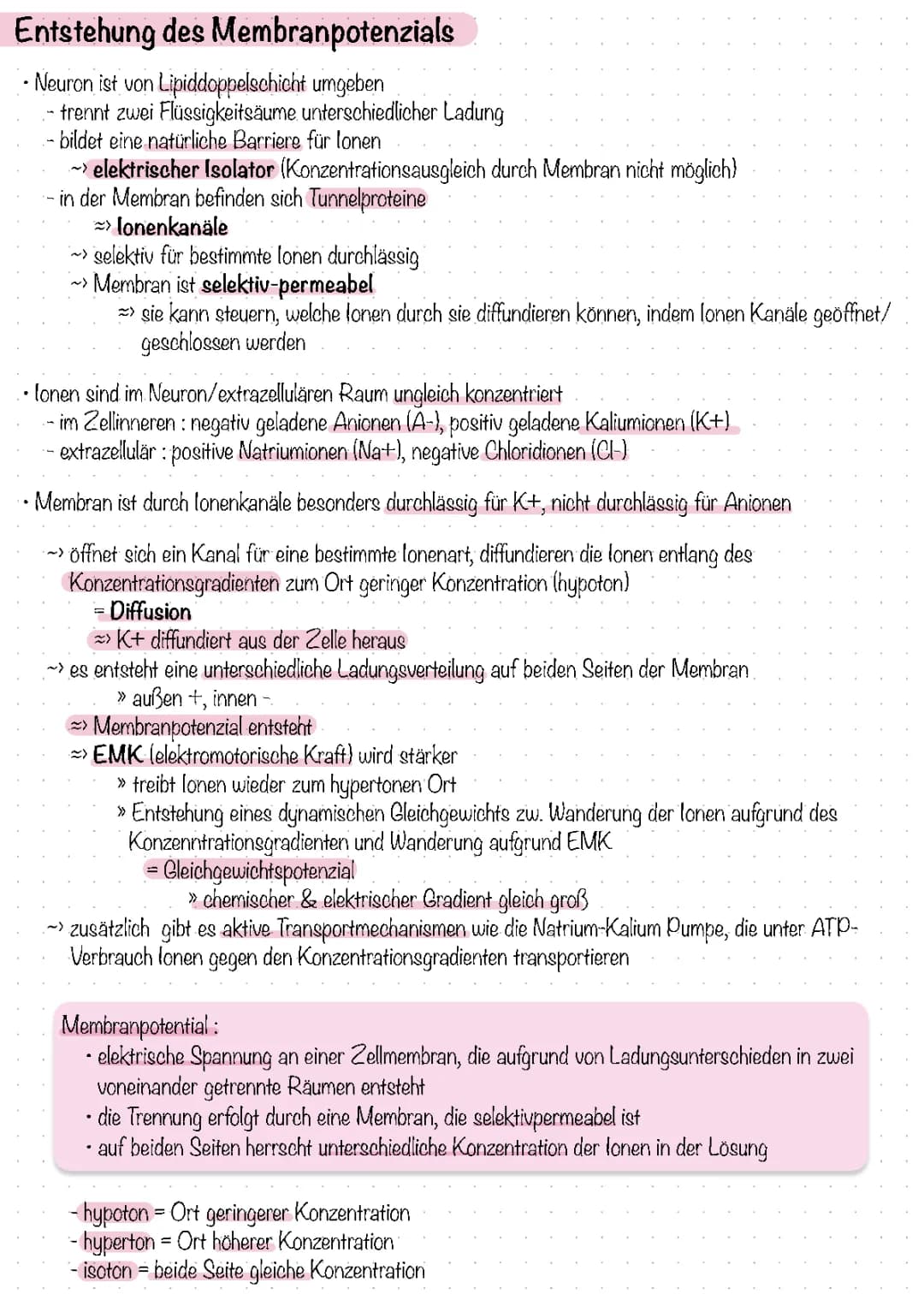 Membranpotenzial Entstehung und Messung