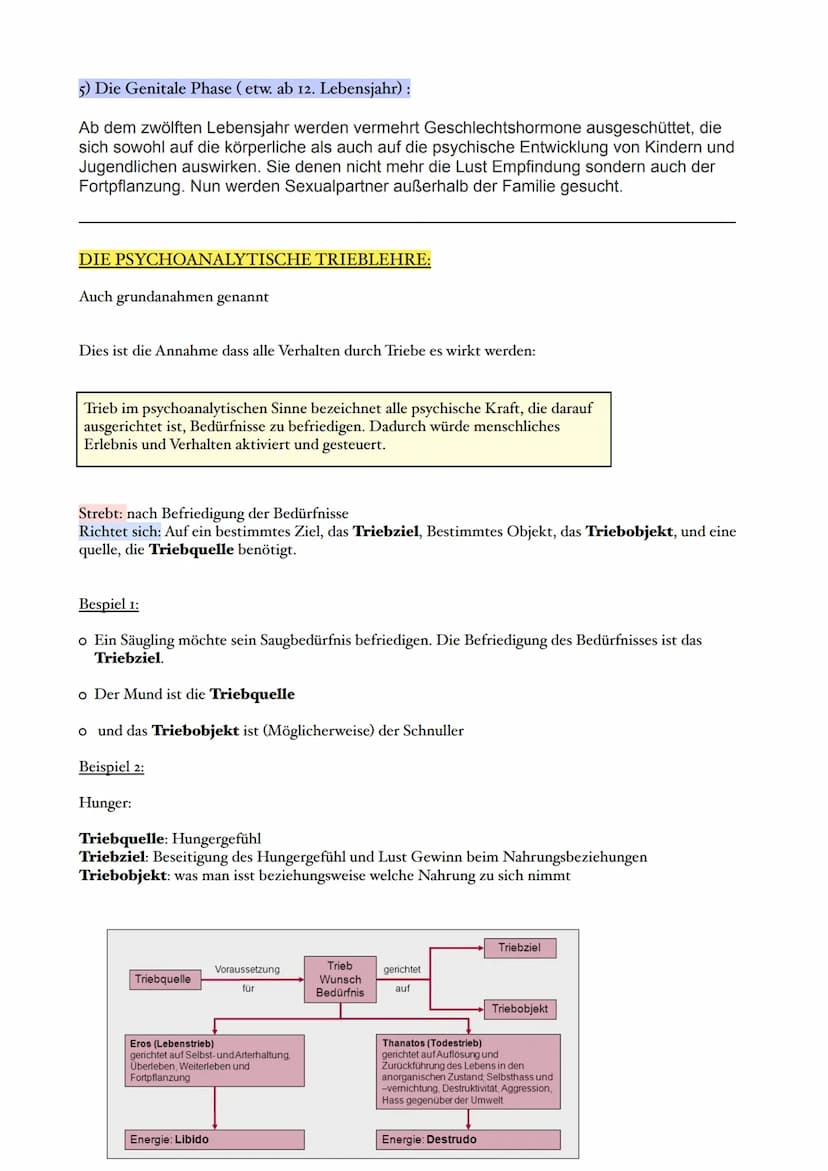 Begriffserklärungen der psychoanalytischen Theorien von Sigmund Freud:
Die Psychoanalyse* geht auf den Neurologen Sigmund Freud zurück.
Freu